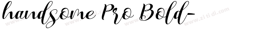 handsome Pro Bold字体转换